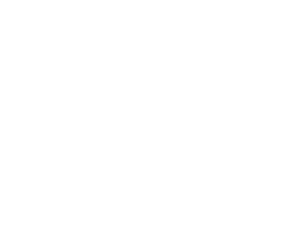 logo savex